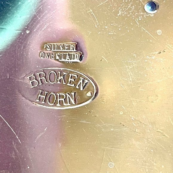 Broken Horn Gemstone Championship Buckle - Picture 5 of 9